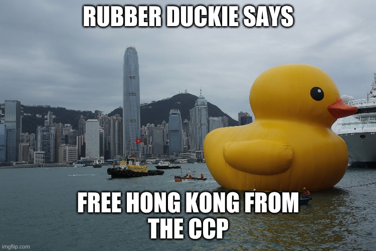 giant rubber duck hong kong | RUBBER DUCKIE SAYS; FREE HONG KONG FROM
THE CCP | image tagged in giant rubber duck hong kong,hong kong,free hong kong,china | made w/ Imgflip meme maker