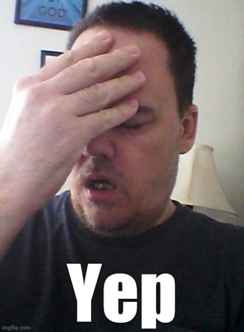 face palm | Yep | image tagged in face palm | made w/ Imgflip meme maker