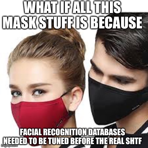 Mask Couple | WHAT IF ALL THIS MASK STUFF IS BECAUSE; FACIAL RECOGNITION DATABASES NEEDED TO BE TUNED BEFORE THE REAL SHTF | image tagged in mask couple | made w/ Imgflip meme maker