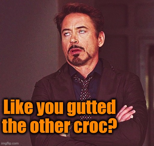 Robert Downey Jr rolling eyes | Like you gutted the other croc? | image tagged in robert downey jr rolling eyes | made w/ Imgflip meme maker