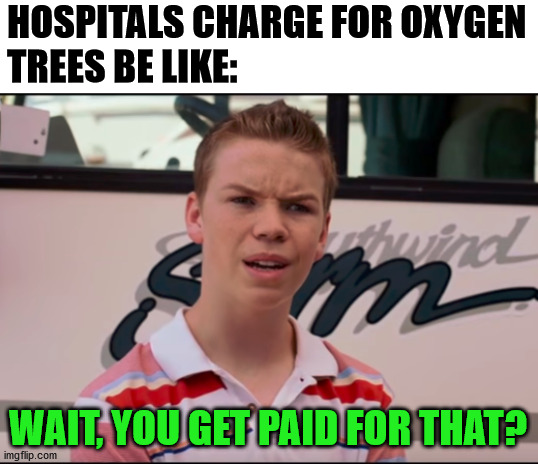 Trees are being ripped off. | HOSPITALS CHARGE FOR OXYGEN
TREES BE LIKE:; WAIT, YOU GET PAID FOR THAT? | image tagged in you guys are getting paid,oxygen | made w/ Imgflip meme maker