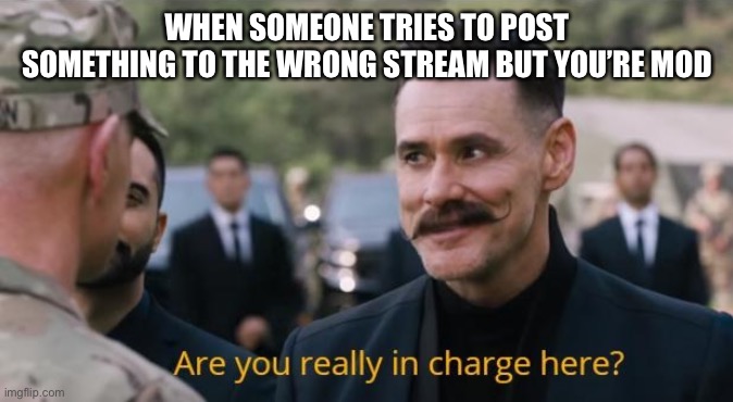 Really though, people shouldn’t do that | WHEN SOMEONE TRIES TO POST SOMETHING TO THE WRONG STREAM BUT YOU’RE MOD | image tagged in are you really in charge here | made w/ Imgflip meme maker