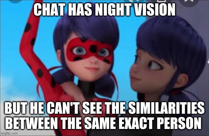 Chat Needs to get his eyes checked | CHAT HAS NIGHT VISION; BUT HE CAN'T SEE THE SIMILARITIES BETWEEN THE SAME EXACT PERSON | image tagged in miraculous ladybug | made w/ Imgflip meme maker