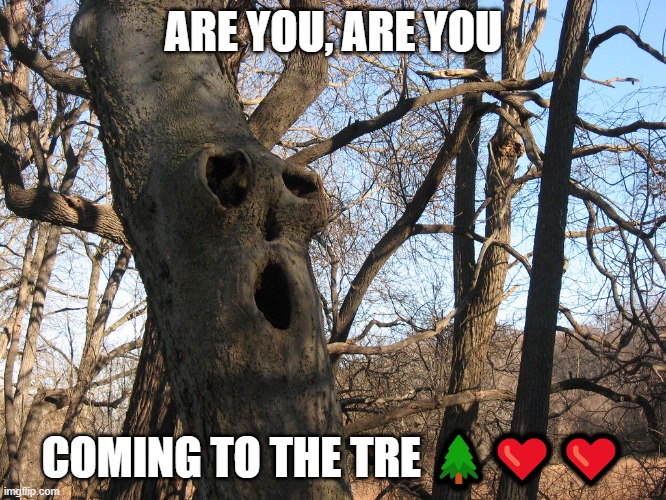 COMING TO THE TRE ?❤️❤️ | ARE YOU, ARE YOU; COMING TO THE TRE 🌲❤️❤️ | image tagged in coming,tree | made w/ Imgflip meme maker