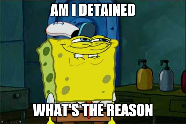 Don't You Squidward | AM I DETAINED; WHAT'S THE REASON | image tagged in arrested | made w/ Imgflip meme maker