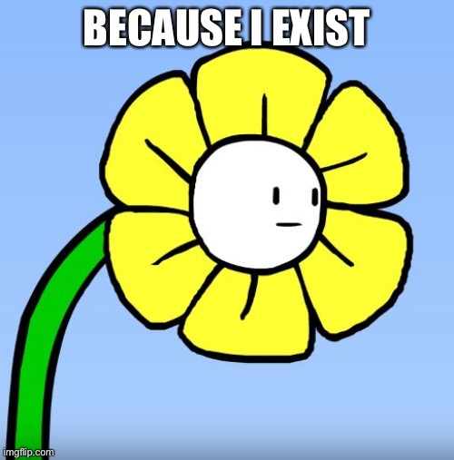 Wut Flowey | BECAUSE I EXIST | image tagged in wut flowey | made w/ Imgflip meme maker