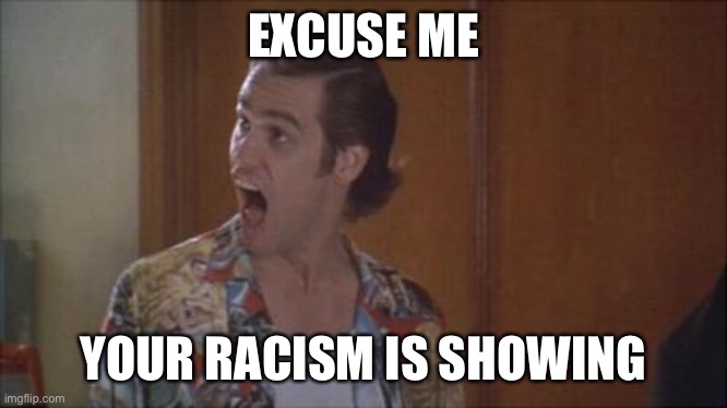 Ace Ventura Pet Detective Yelling | EXCUSE ME; YOUR RACISM IS SHOWING | image tagged in ace ventura pet detective yelling | made w/ Imgflip meme maker