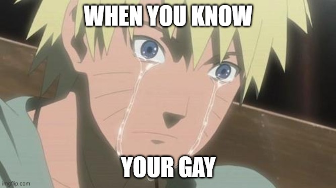 naruto | WHEN YOU KNOW; YOUR GAY | image tagged in finishing anime | made w/ Imgflip meme maker