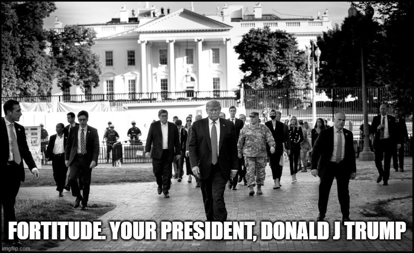 President Trump when dealing with adversity = BALLS OF STEEL. Rioters go home! | FORTITUDE. YOUR PRESIDENT, DONALD J TRUMP | image tagged in donald trump,riots,dc riots,george floyd,potus | made w/ Imgflip meme maker
