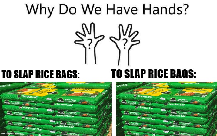 Slap em' all | TO SLAP RICE BAGS:; TO SLAP RICE BAGS: | image tagged in rice bags,slap them,funny,humour | made w/ Imgflip meme maker