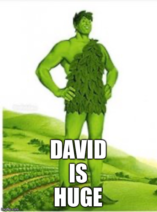 DAVID
IS
HUGE | made w/ Imgflip meme maker