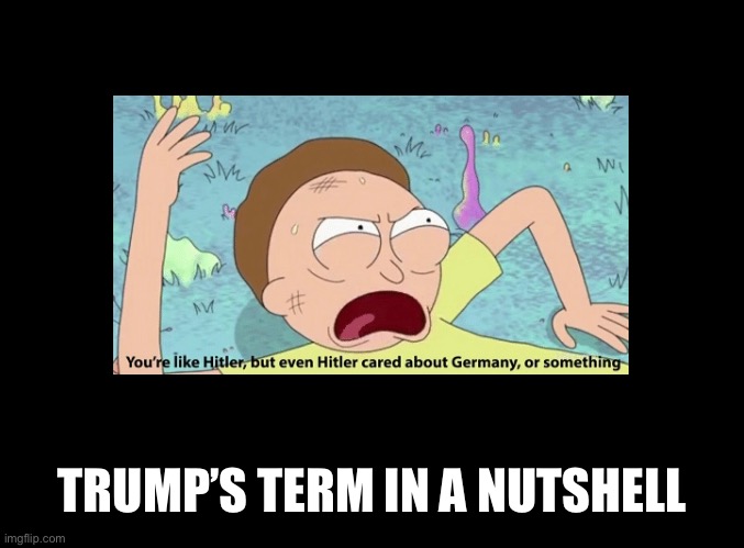 Trump’s term in a nutshell | TRUMP’S TERM IN A NUTSHELL | image tagged in politics | made w/ Imgflip meme maker