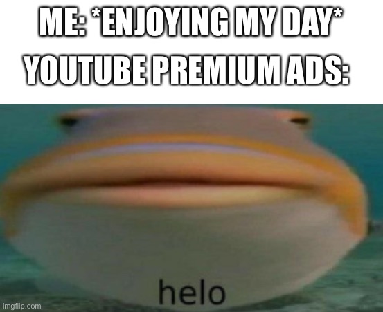 WHYYY | ME: *ENJOYING MY DAY*; YOUTUBE PREMIUM ADS: | image tagged in helo | made w/ Imgflip meme maker