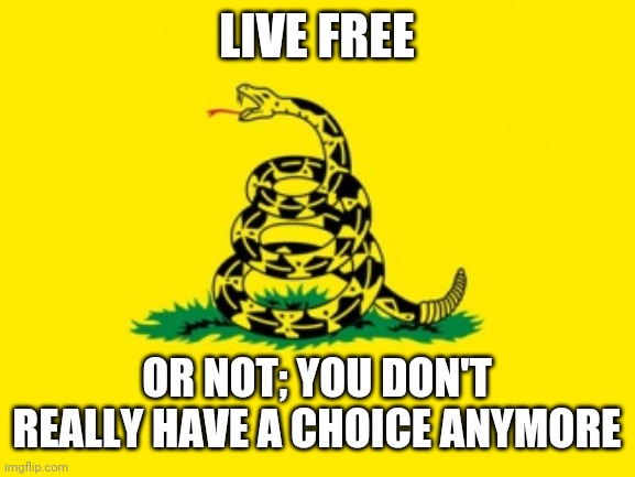 Free Snake | LIVE FREE; OR NOT; YOU DON'T REALLY HAVE A CHOICE ANYMORE | image tagged in gadsden flag,freedom | made w/ Imgflip meme maker