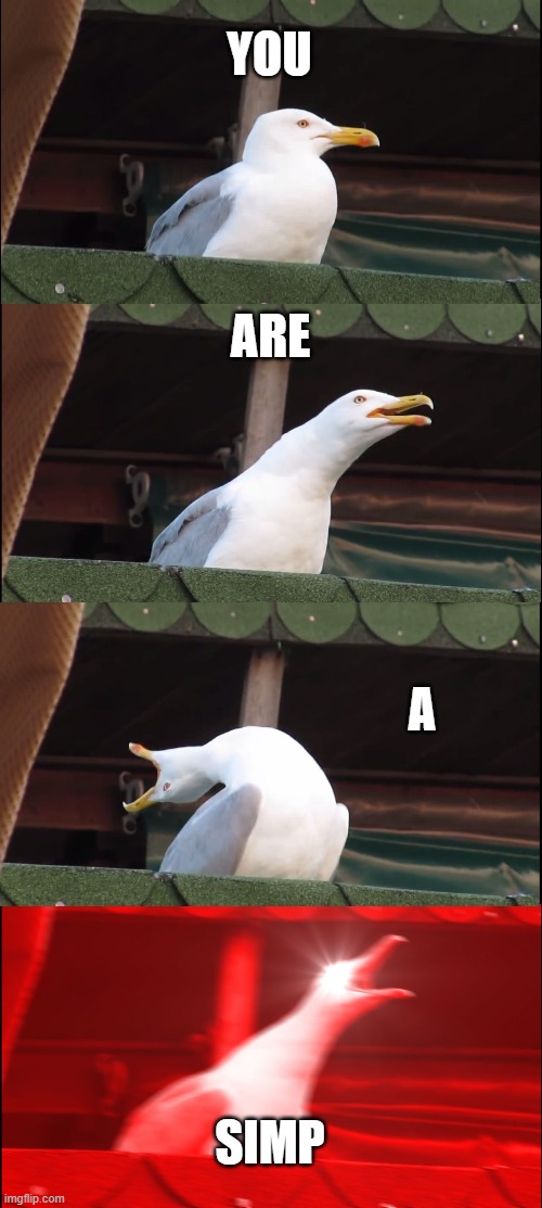 SIMP | YOU; ARE; A; SIMP | image tagged in memes,inhaling seagull | made w/ Imgflip meme maker