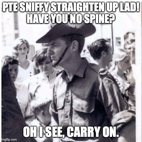 Spineless | PTE SNIFFY STRAIGHTEN UP LAD!
HAVE YOU NO SPINE? OH I SEE, CARRY ON. | image tagged in sniffy,commo,xunt,spineless,liar | made w/ Imgflip meme maker