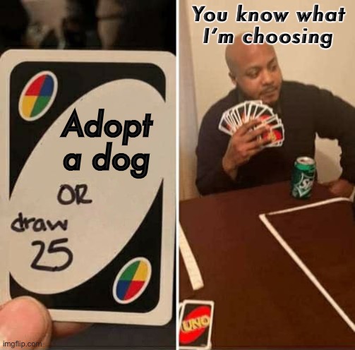 UNO Draw 25 Cards Meme | You know what I’m choosing; Adopt a dog | image tagged in memes,uno draw 25 cards | made w/ Imgflip meme maker