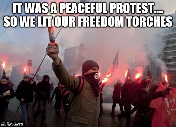 oh boy weren't we peaceful? | IT WAS A PEACEFUL PROTEST.... SO WE LIT OUR FREEDOM TORCHES | image tagged in protest | made w/ Imgflip meme maker