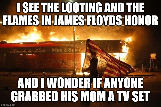 George Floyd | I SEE THE LOOTING AND THE FLAMES IN JAMES FLOYDS HONOR; AND I WONDER IF ANYONE GRABBED HIS MOM A TV SET | image tagged in george floyd,riots,protesters | made w/ Imgflip meme maker