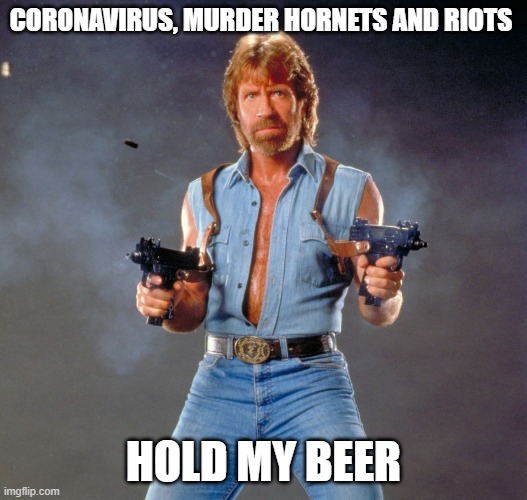 Chuck Norris Guns | CORONAVIRUS, MURDER HORNETS AND RIOTS; HOLD MY BEER | image tagged in memes,chuck norris guns,chuck norris | made w/ Imgflip meme maker