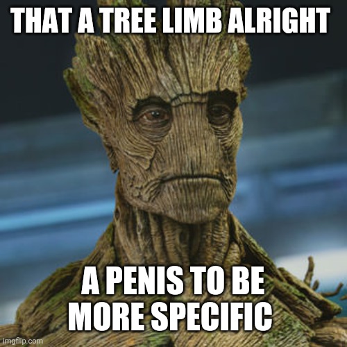 I am Groot | THAT A TREE LIMB ALRIGHT A PENIS TO BE MORE SPECIFIC | image tagged in i am groot | made w/ Imgflip meme maker