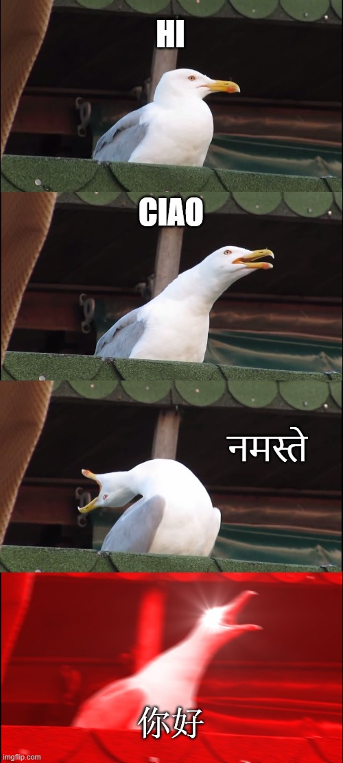 Inhaling Seagull | HI; CIAO; नमस्ते; 你好 | image tagged in memes,inhaling seagull | made w/ Imgflip meme maker