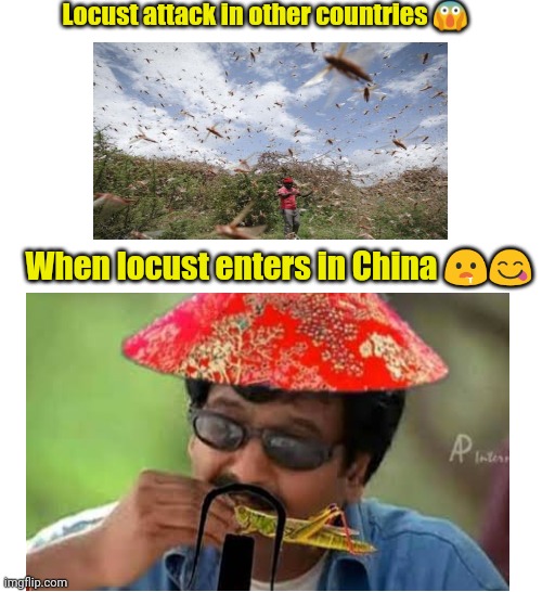 Locust attack in other countries 😱; When locust enters in China 🤤😋 | image tagged in funny | made w/ Imgflip meme maker