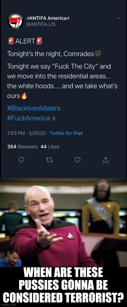 THEY'RE JUST ASKING FOR IT NOW | WHEN ARE THESE PUSSIES GONNA BE CONSIDERED TERRORIST? | image tagged in memes,picard wtf,terrorism,terrorist,antifa | made w/ Imgflip meme maker