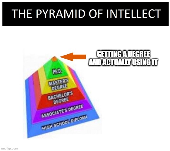 What most people don't see when going to college | GETTING A DEGREE AND ACTUALLY USING IT | image tagged in pyramid of intellect blank | made w/ Imgflip meme maker