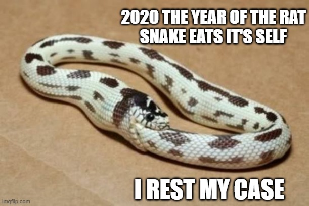 Snake Eating Itself | 2020 THE YEAR OF THE RAT
SNAKE EATS IT'S SELF; I REST MY CASE | image tagged in snake eating itself,memes,funny,funny memes,not funny | made w/ Imgflip meme maker