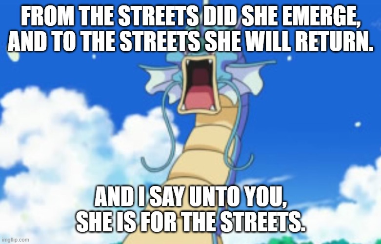 Gyarados Belongs to the Streets | FROM THE STREETS DID SHE EMERGE, AND TO THE STREETS SHE WILL RETURN. AND I SAY UNTO YOU, SHE IS FOR THE STREETS. | image tagged in gyarados roar,copypastas,memes,she belongs to the streets,she is for the streets | made w/ Imgflip meme maker