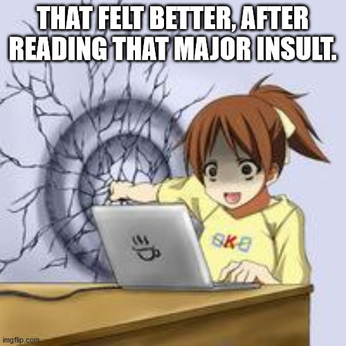 Anime wall punch | THAT FELT BETTER, AFTER READING THAT MAJOR INSULT. | image tagged in anime wall punch | made w/ Imgflip meme maker