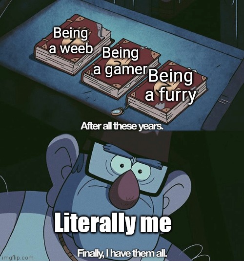 Finally I have them all | Being a weeb; Being a gamer; Being a furry; Literally me | image tagged in finally i have them all | made w/ Imgflip meme maker