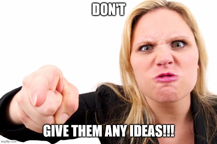 Offended woman | DON'T GIVE THEM ANY IDEAS!!! | image tagged in offended woman | made w/ Imgflip meme maker