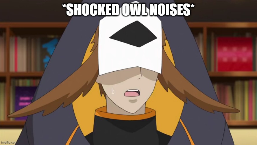 Confused Fukurou | *SHOCKED OWL NOISES* | image tagged in confused fukurou | made w/ Imgflip meme maker