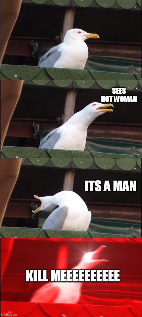 We See | SEES HOT WOMAN; ITS A MAN; KILL MEEEEEEEEEE | image tagged in memes,inhaling seagull,funny | made w/ Imgflip meme maker