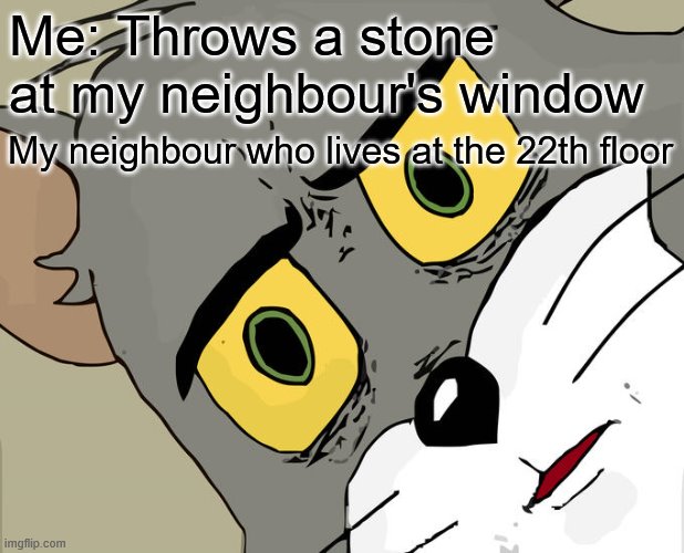 Unsettled Tom Meme | Me: Throws a stone at my neighbour's window; My neighbour who lives at the 22th floor | image tagged in memes,unsettled tom | made w/ Imgflip meme maker