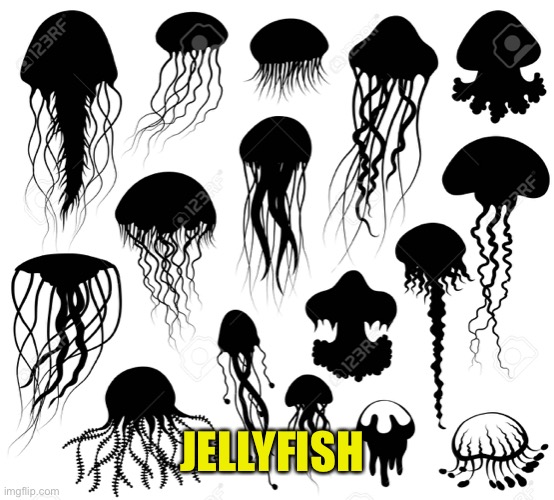 JELLYFISH | made w/ Imgflip meme maker