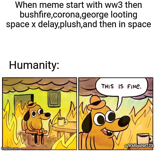 This Is Fine Meme | When meme start with ww3 then bushfire,corona,george looting space x delay,plush,and then in space; Humanity:; u/KMSyahid123 | image tagged in memes,this is fine | made w/ Imgflip meme maker