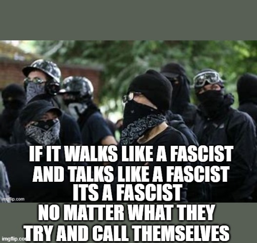 quak quak | NO MATTER WHAT THEY TRY AND CALL THEMSELVES | image tagged in antifa,democrats,2020 elections | made w/ Imgflip meme maker