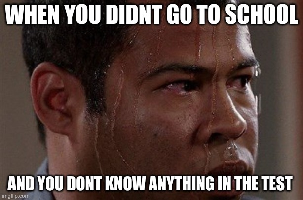 not good | WHEN YOU DIDNT GO TO SCHOOL; AND YOU DONT KNOW ANYTHING IN THE TEST | image tagged in sweaty guy | made w/ Imgflip meme maker