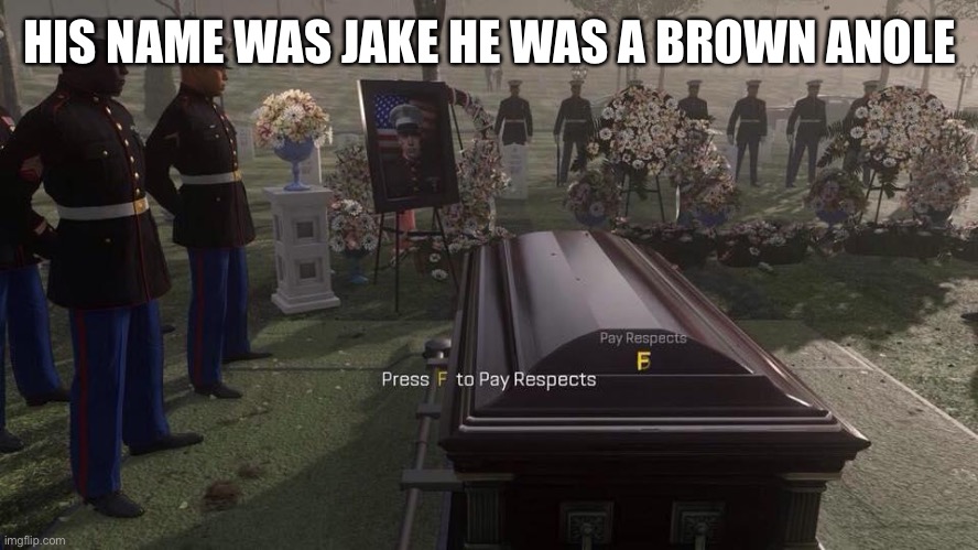 Press F to Pay Respects | HIS NAME WAS JAKE HE WAS A BROWN ANOLE | image tagged in press f to pay respects | made w/ Imgflip meme maker