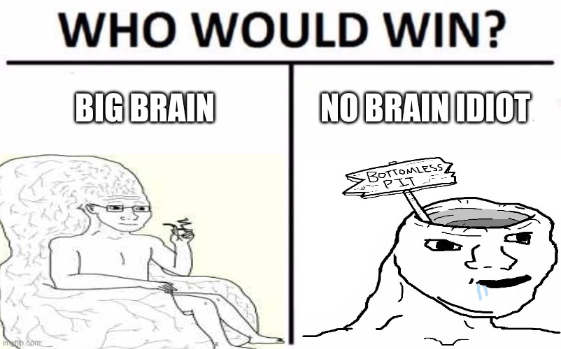 brain? | BIG BRAIN; NO BRAIN IDIOT | made w/ Imgflip meme maker