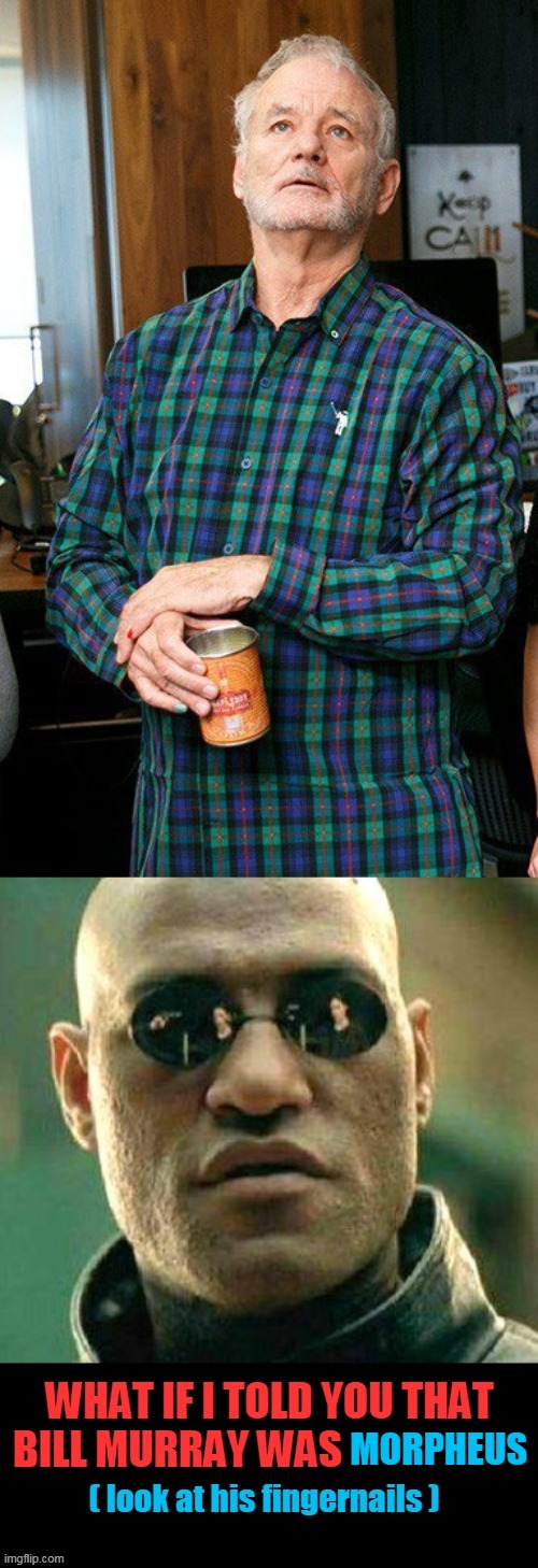 Murr-Pheous red or blue | MORPHEUS | image tagged in bill murray,morpheus | made w/ Imgflip meme maker