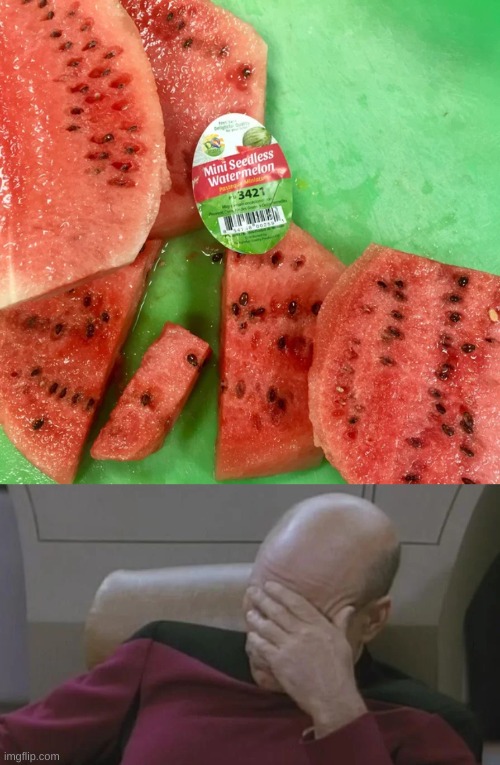 one job they had but this | image tagged in watermelon,captain picard facepalm,seedless | made w/ Imgflip meme maker