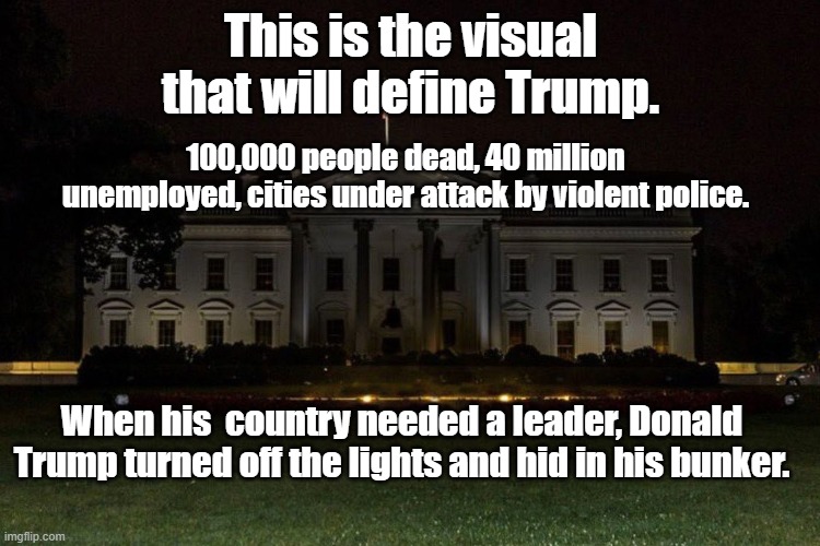 This is the visual that will define Trump. 100,000 people dead, 40 million unemployed, cities under attack by violent police. When his  country needed a leader, Donald Trump turned off the lights and hid in his bunker. | image tagged in donald trump you're fired,ashamed | made w/ Imgflip meme maker