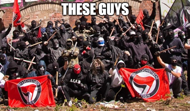 Antifa | THESE GUYS | image tagged in antifa | made w/ Imgflip meme maker