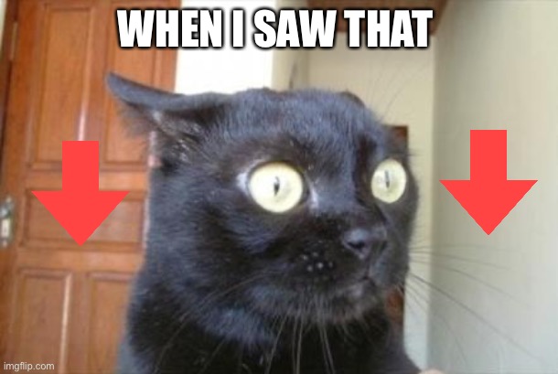 Cannot Be Unseen Cat | WHEN I SAW THAT | image tagged in cannot be unseen cat | made w/ Imgflip meme maker