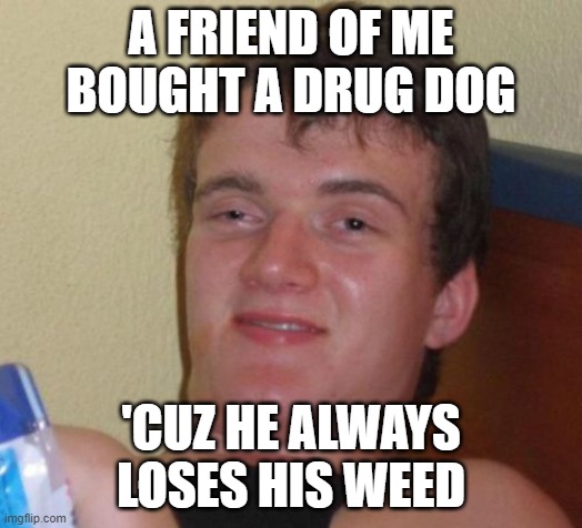 That's what drug dogs are for! | A FRIEND OF ME BOUGHT A DRUG DOG; 'CUZ HE ALWAYS LOSES HIS WEED | image tagged in memes,10 guy,drugs,funny memes,dogs,dog | made w/ Imgflip meme maker