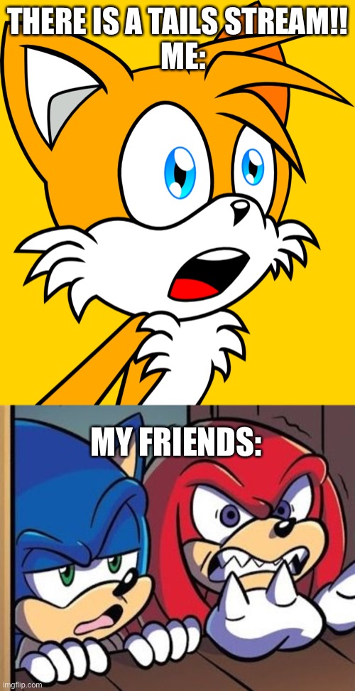 Tails stream!!! | THERE IS A TAILS STREAM!!
  ME:; MY FRIENDS: | image tagged in tails,sonic,stream | made w/ Imgflip meme maker